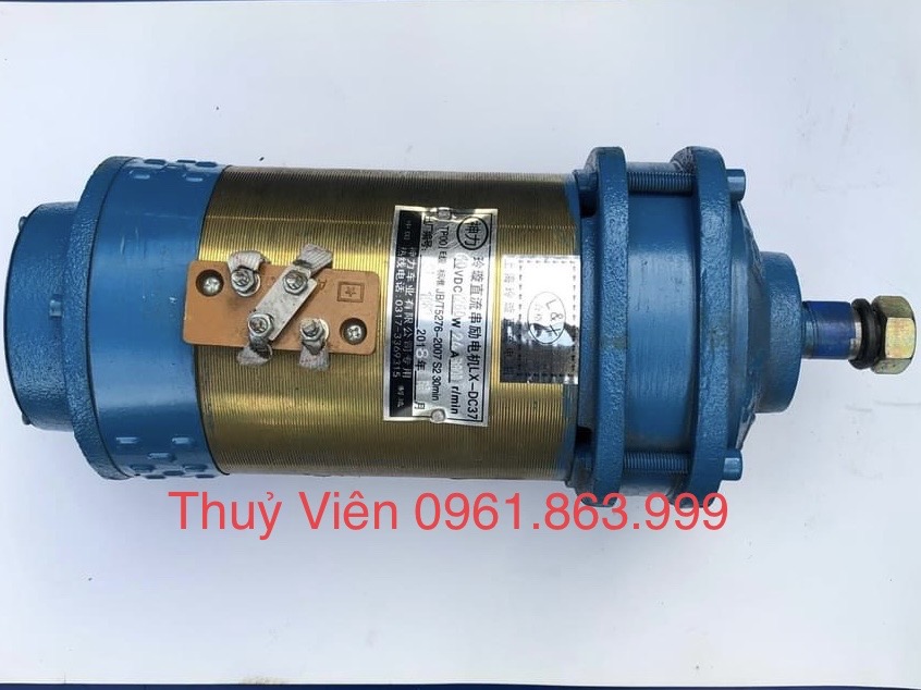 Mô tơ có chổi than 60v1260w