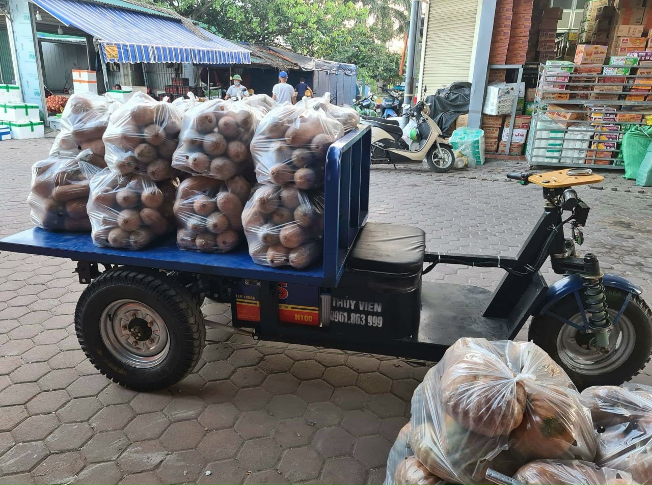 Xe điện chở hàng 1 tấn thùng phẳng 1,6m x 1,1m
